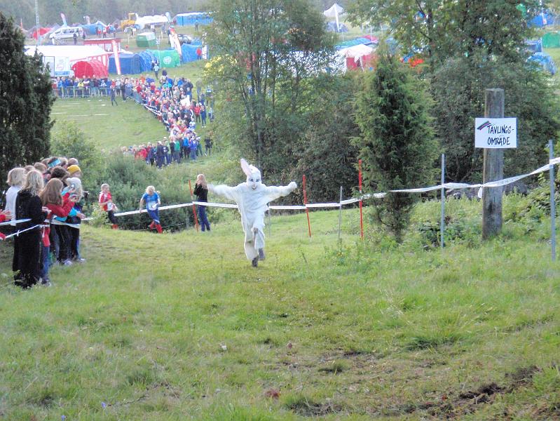 Ungi 2009 010.jpg